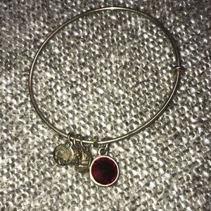 Ruby red July birthstone Alex and ani bracelet